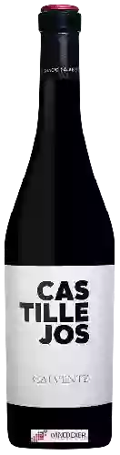 Winery Horacio Calvente - Castillejos