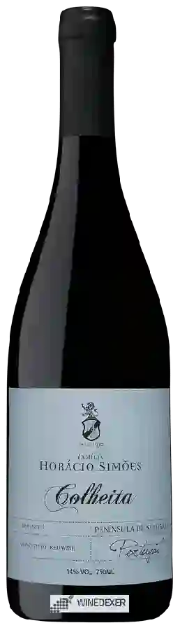 Winery Horácio Simões - Colheita