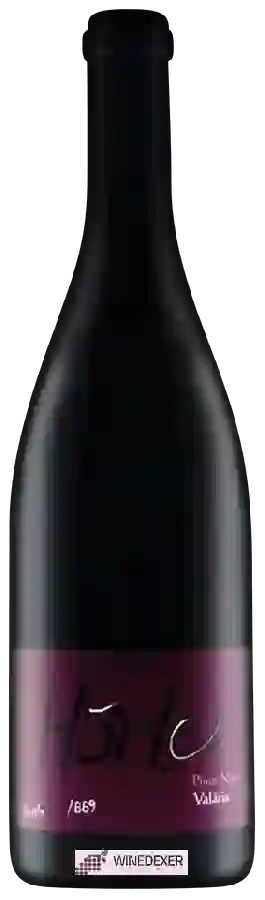 Winery Hörler - Valäris Pinot Noir Winery Hörler - Valäris Pinot Noir