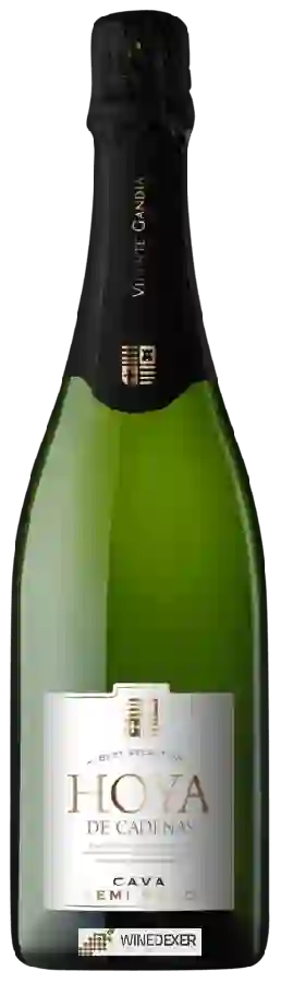 Winery Hoya de Cadenas - Cava Semi Seco