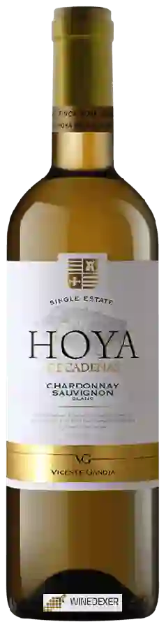 Winery Hoya de Cadenas - Chardonnay - Sauvignon Blanc
