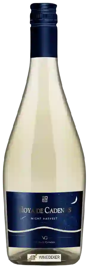 Winery Hoya de Cadenas - Night Harvest