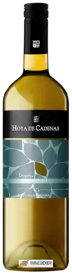 Winery Hoya de Cadenas - Organic Verdejo