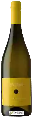 Winery Sauska - Sárgamuskotály