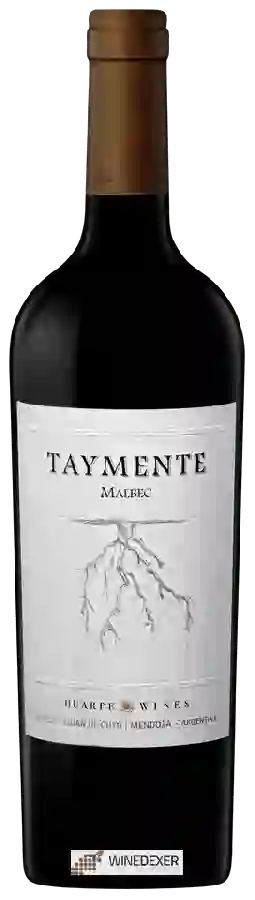 Winery Huarpe - Taymente Malbec Winery Huarpe - Taymente Malbec