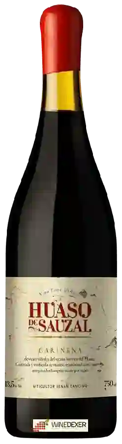 Winery Huaso de Sauzal - Cari&ntildeena