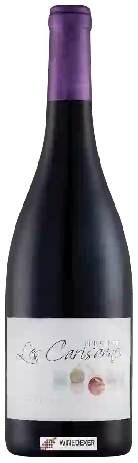 Winery Hubert Brochard - Les Carisannes Pinot Noir Winery Hubert Brochard - Les Carisannes Pinot Noir