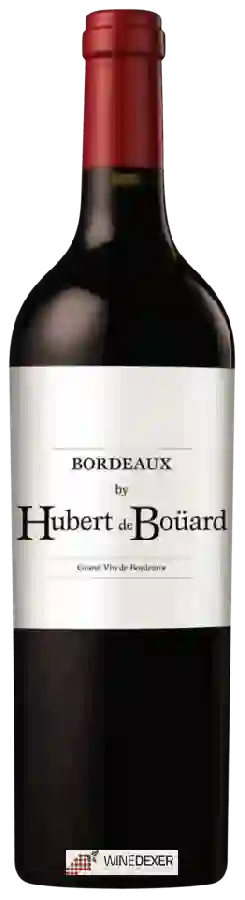 Winery Hubert de Bouard - Bordeaux