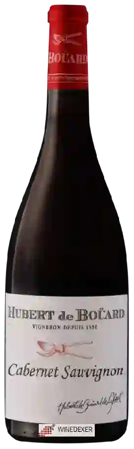 Winery Hubert de Bouard - Cabernet Sauvignon