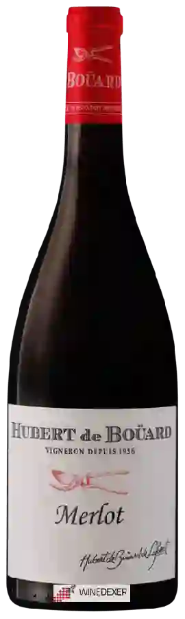 Winery Hubert de Bouard - Merlot Winery Hubert de Bouard - Merlot