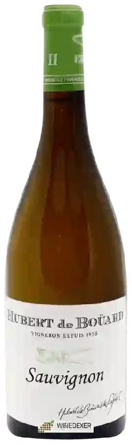Winery Hubert de Bouard - Sauvignon