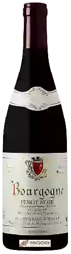 Winery Hudelot-Noëllat - Bourgogne Pinot Noir