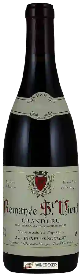 Winery Hudelot-Noëllat - Romanée-Saint-Vivant Grand Cru