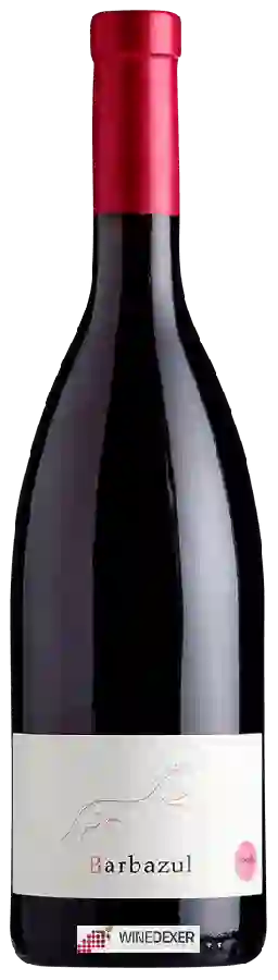 Winery Huerta de Albala - Barbazul Rosado