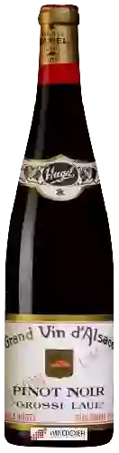 Winery Hugel - Grossi Laüe Pinot Noir