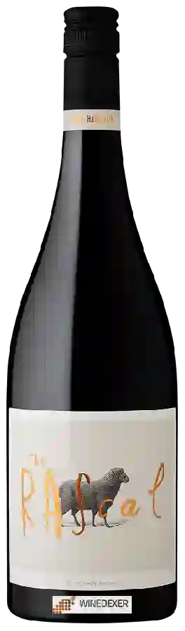 Winery Hugh Hamilton - The Rascal Shiraz Winery Hugh Hamilton - The Rascal Shiraz