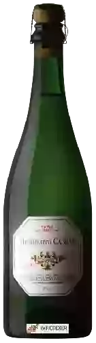 Winery Humberto Canale - Extra Brut