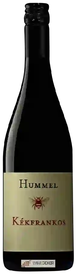 Winery Hummel - Kékfrankos