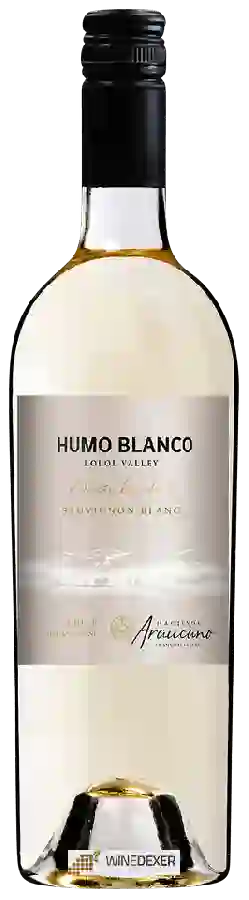 Winery Humo Blanco - Sauvignon Blanc (Edición Limitada)