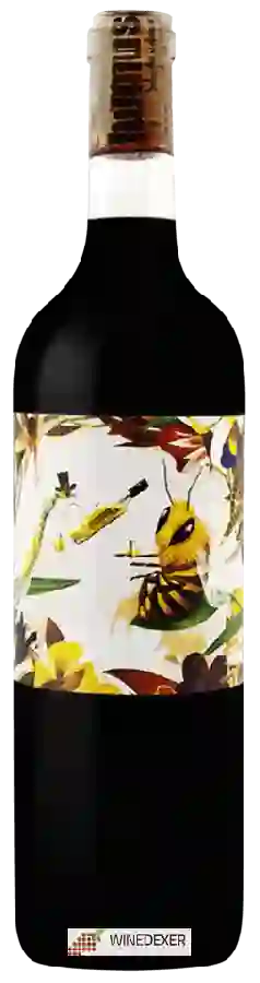 Winery Humus Wines - Carbónica Winery Humus Wines - Carbónica