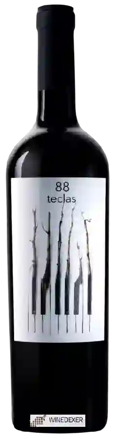 Winery Hydria - 88 Teclas