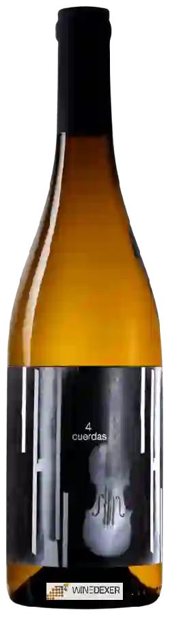 Winery Hydria - 4 Cuerdas