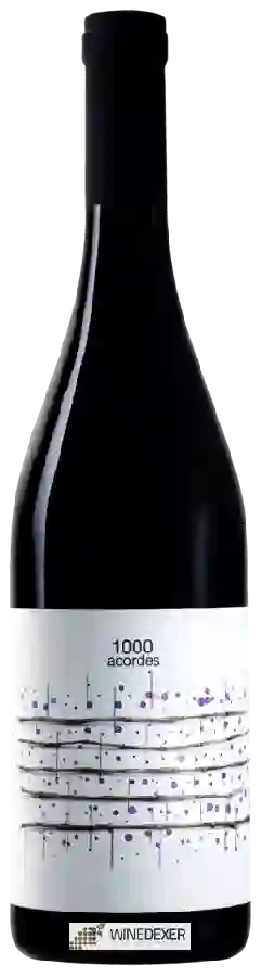 Winery Hydria - 1000 Acordes
