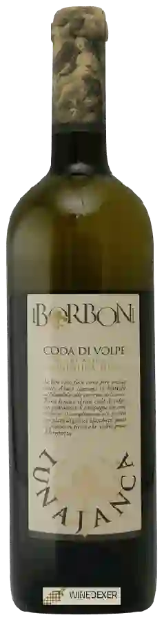 Winery I Borboni - Luna Janca Coda di Volpe