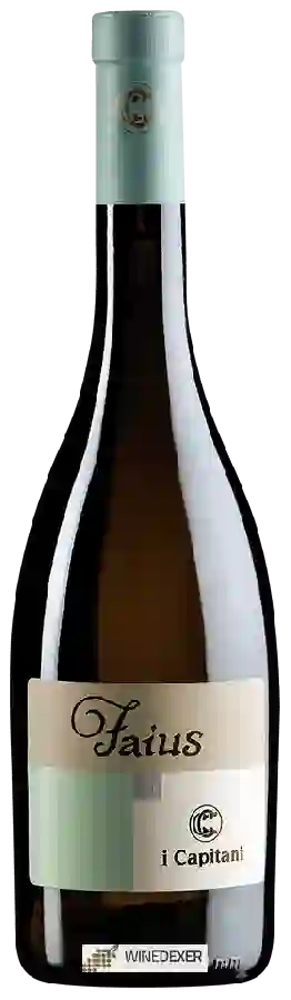Winery I Capitani - Faius Winery I Capitani - Faius