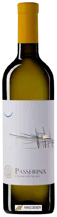 Winery Tenuta I Fauri - Passerina Colline Teatine Winery Tenuta I Fauri - Passerina Colline Teatine