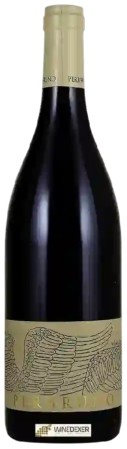 Winery I Giusti & Zanza - Perbruno Winery I Giusti & Zanza - Perbruno