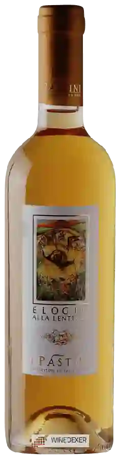 Winery I Pastini - Elogio Alla Lentezza