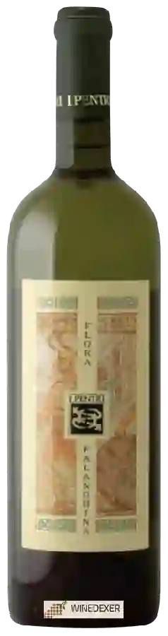 Winery I Pentri - Flora Falanghina Winery I Pentri - Flora Falanghina