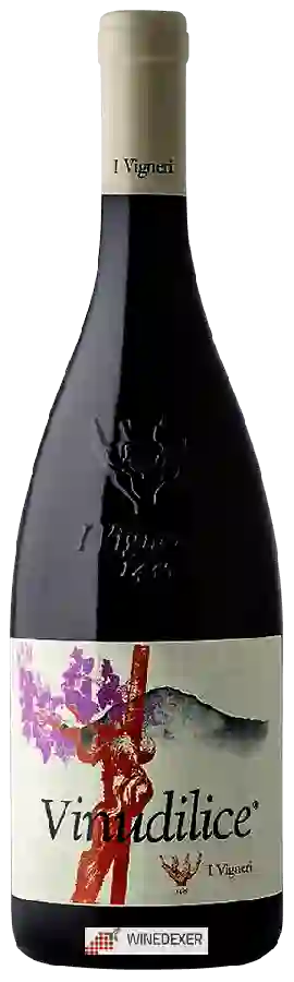 Winery I Vigneri - Vinudilice
