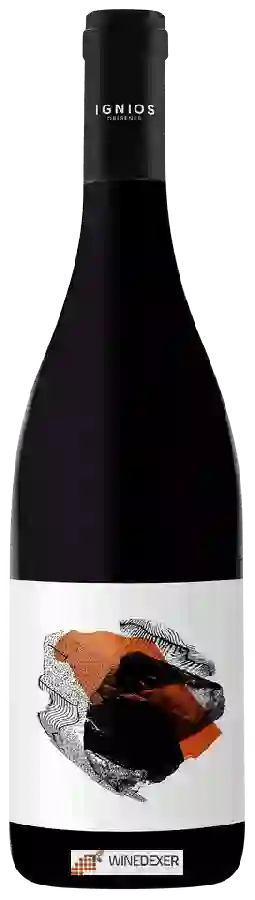 Winery Ignios Orígenes - Vijariego Negro