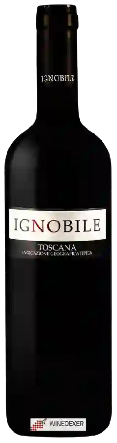 Winery Azienda Agricola Il Palagio - Ignobile Toscana Winery Azienda Agricola Il Palagio - Ignobile Toscana