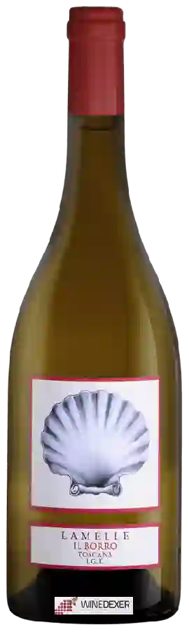 Winery Il Borro - Toscana Lamelle Winery Il Borro - Toscana Lamelle