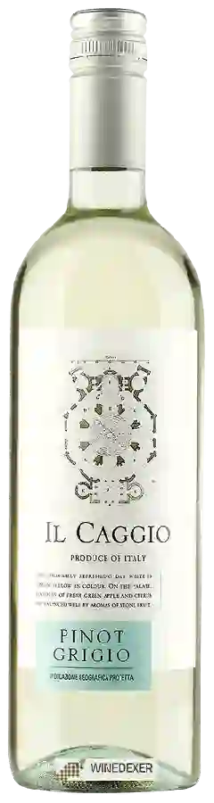 Winery Il Caggio - Pinot Grigio