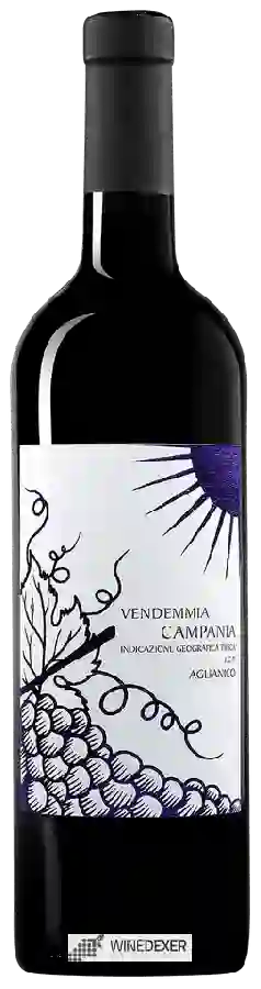 Winery Il Cancelliere - Aglianico Campania Winery Il Cancelliere - Aglianico Campania