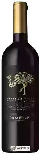 Winery Carmel (יקבי כרמל) - Appellation Cabernet Sauvignon
