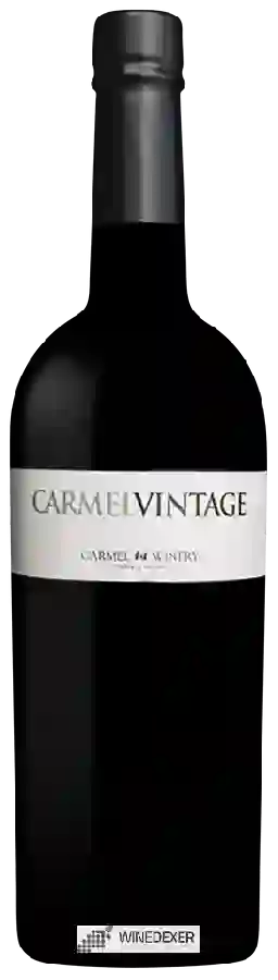 Winery Carmel (יקבי כרמל) - Carmel Vintage Port
