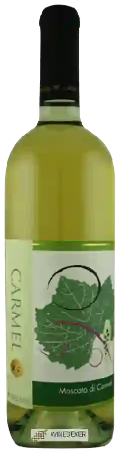 Winery Carmel (יקבי כרמל) - Moscato di Carmel Winery Carmel (יקבי כרמל) - Moscato di Carmel