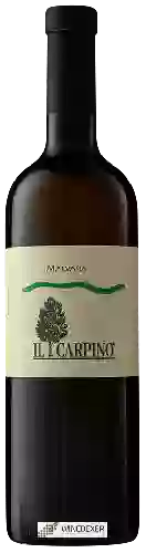 Winery Il Carpino - Malvasia