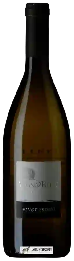 Winery Il Carpino - Vigna Runc Pinot Grigio