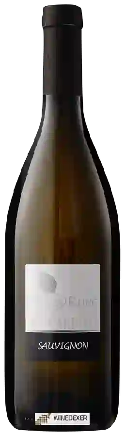 Winery Il Carpino - Vigna Runc Sauvignon