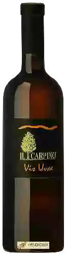 Winery Il Carpino - Vis Uvae