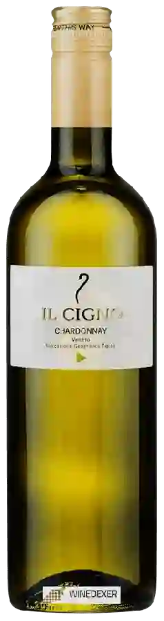 Winery Il Cigno - Chardonnay