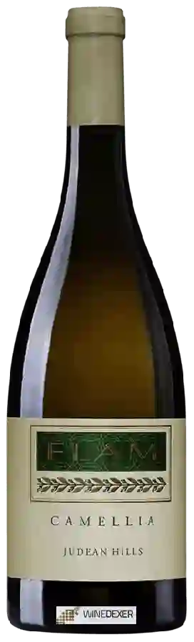 Winery Flam - Camellia Blanc