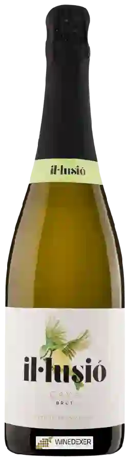 Winery Il·lusió - Cava Brut Winery Il·lusió - Cava Brut