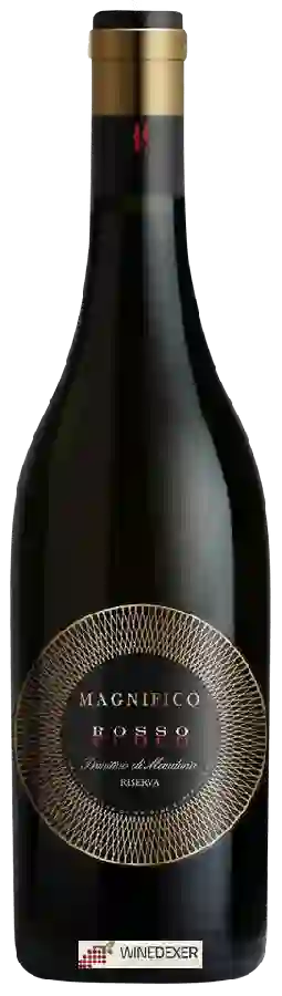 Winery Magnifico - Rosso Fuoco Primitivo di Manduria Riserva